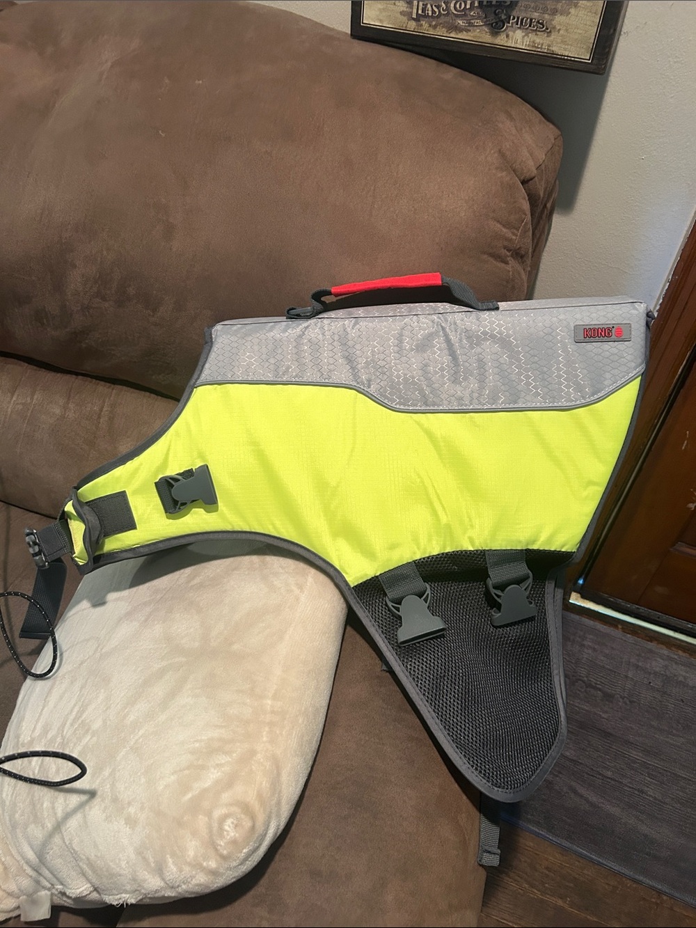 Kong Lime Dog Life Vest
